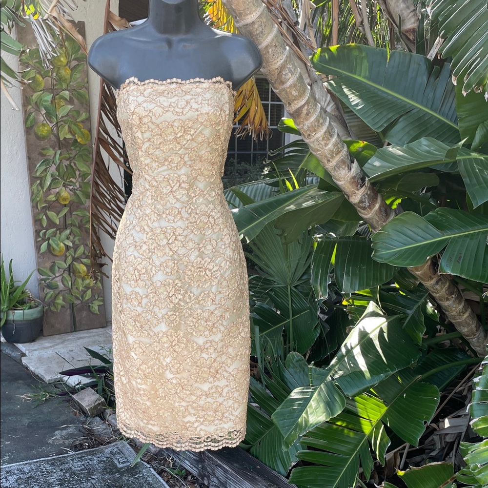 Vintage evenings by Pantsges strapless, lace dress